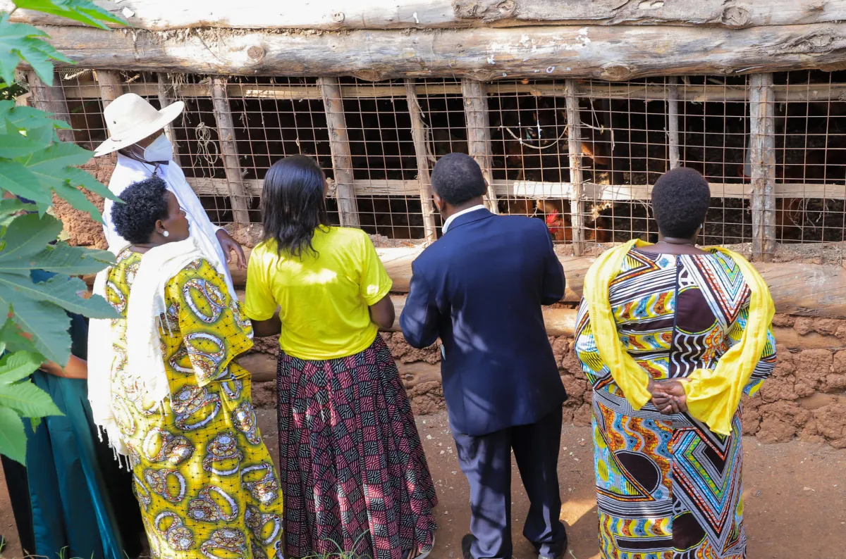 President Museveni calls for establishment of an egg processing factory
