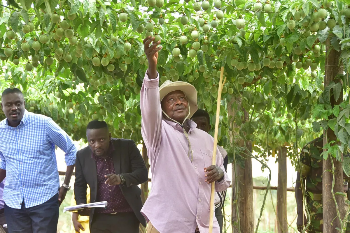 Understanding Museveni's 4 sectors and 7 ways of wealth creation