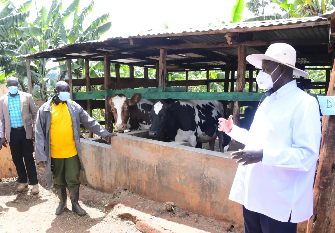 President Museveni applauds Sebei farmers for progress in adopting four-acre model