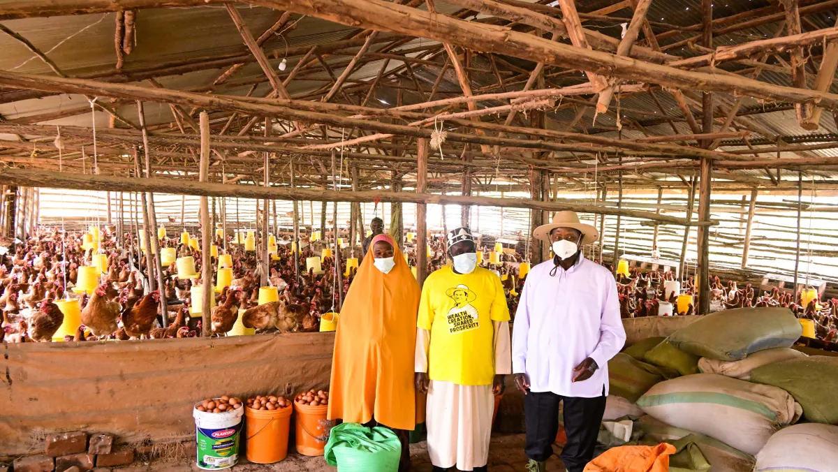 President Museveni commends Mpozi model farmer for embracing four-acre model farming
