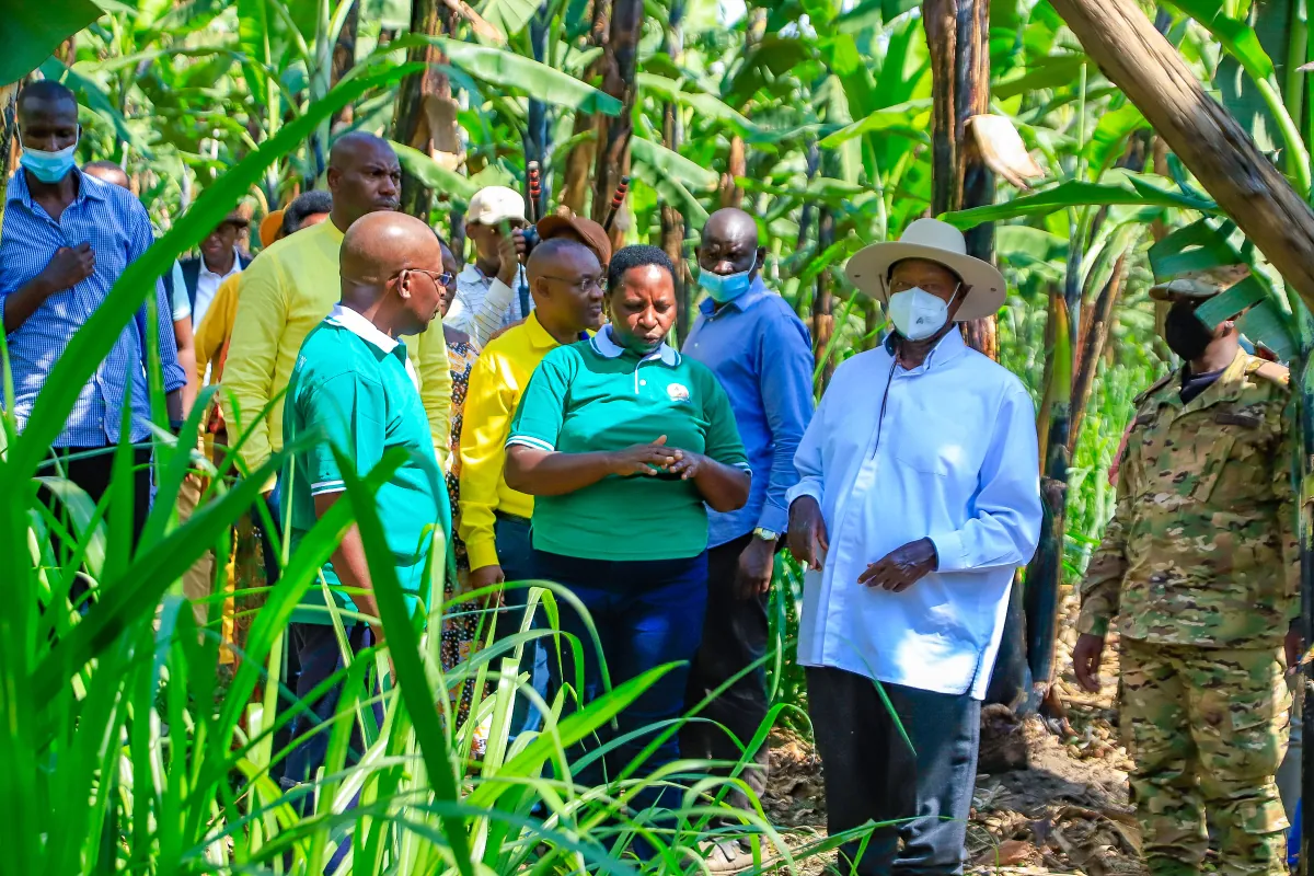 President Museveni commends Rubirizi residents for utilising PDM funds well