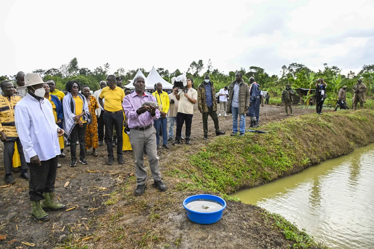 President Museveni rallies PDM beneficiaries to take full responsibility for the funds, embrace fish farming in Bunyoro