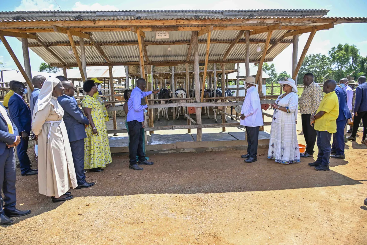 How President Museveni’s four-acre model message transformed a life