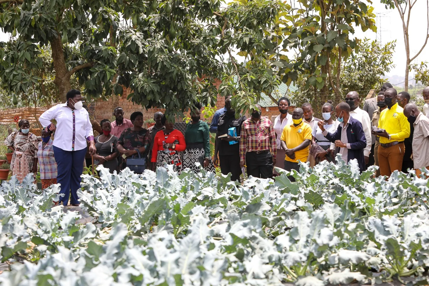 Namayanja, NRM staff visit KCCA Kyanja Resource farm`
