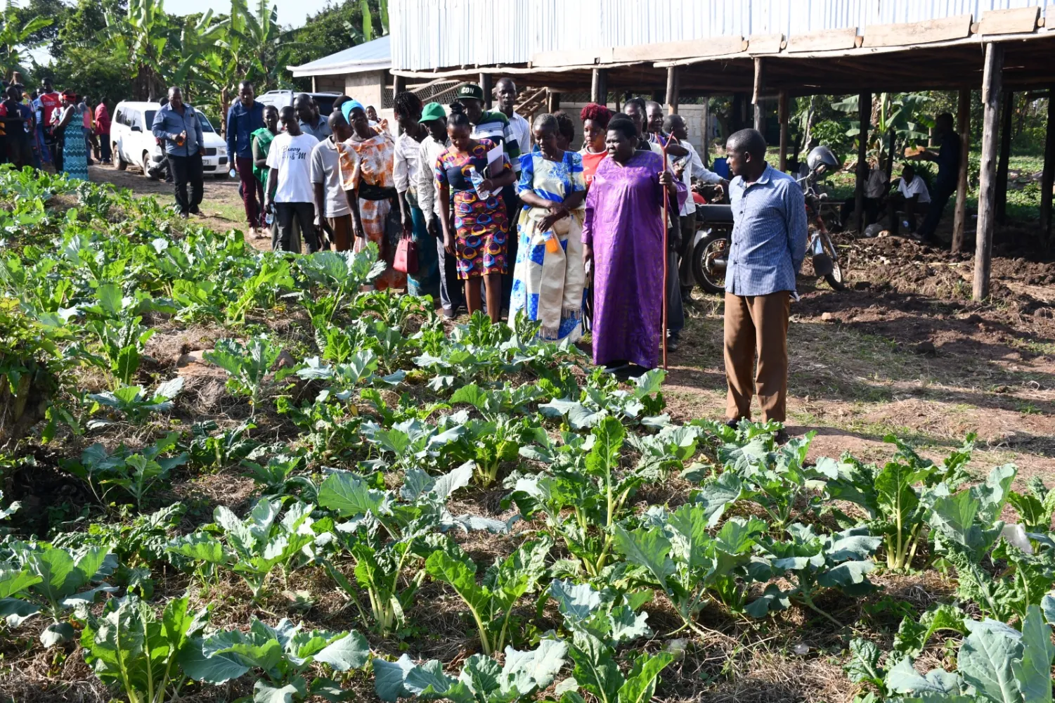Namayanja Launches Model Farm to Boost Agriculture and Wealth Creation in Nakaseke